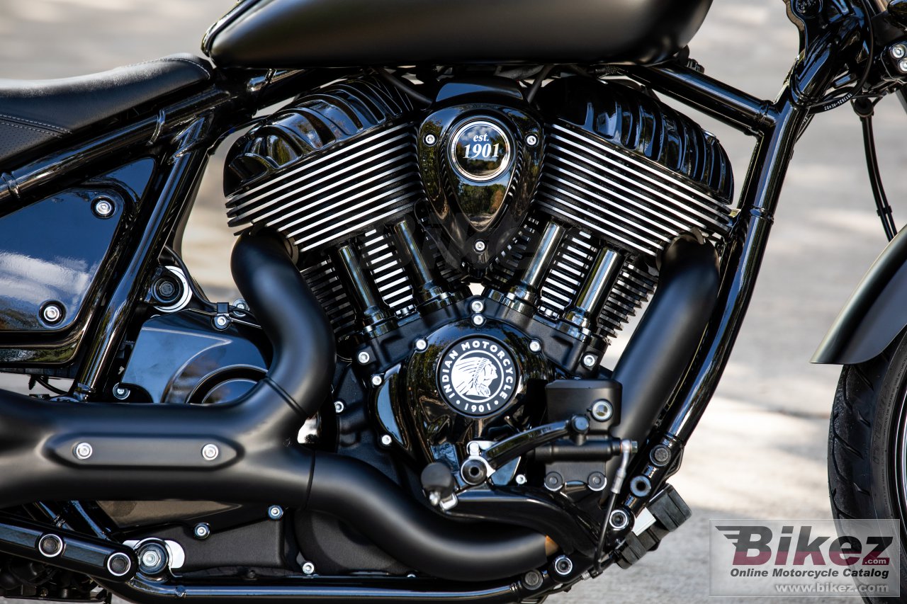 Indian Chief Dark Horse