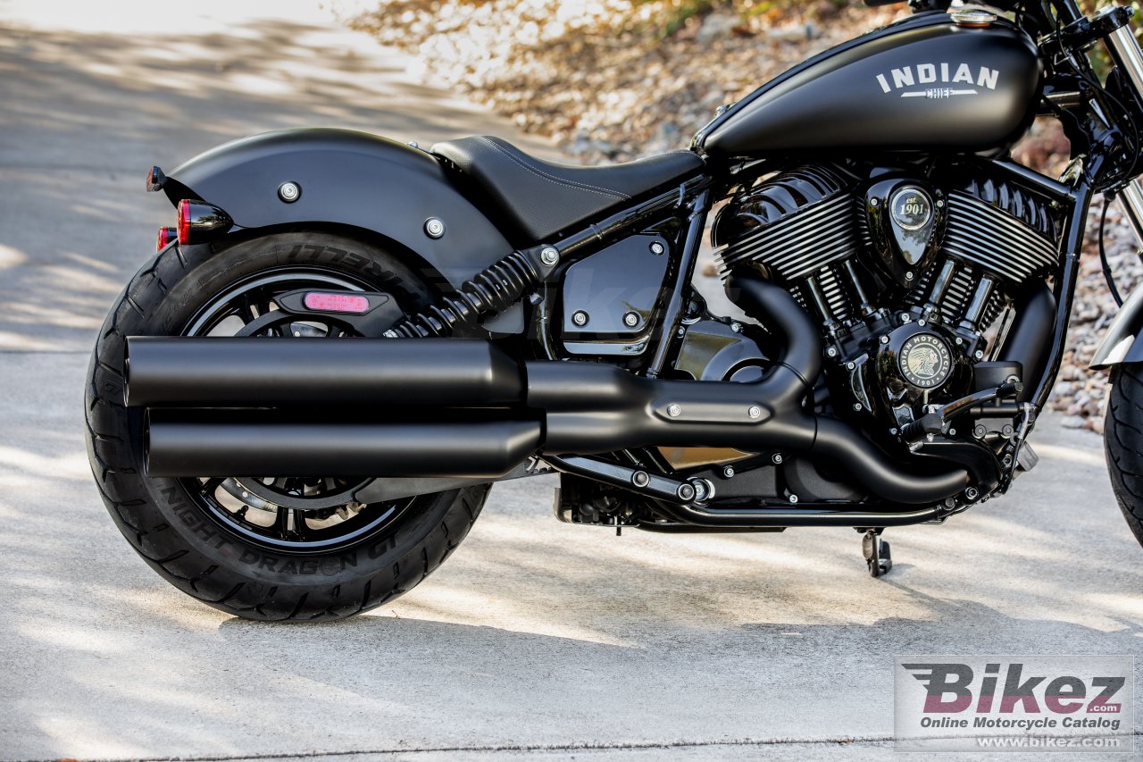 Indian Chief Dark Horse