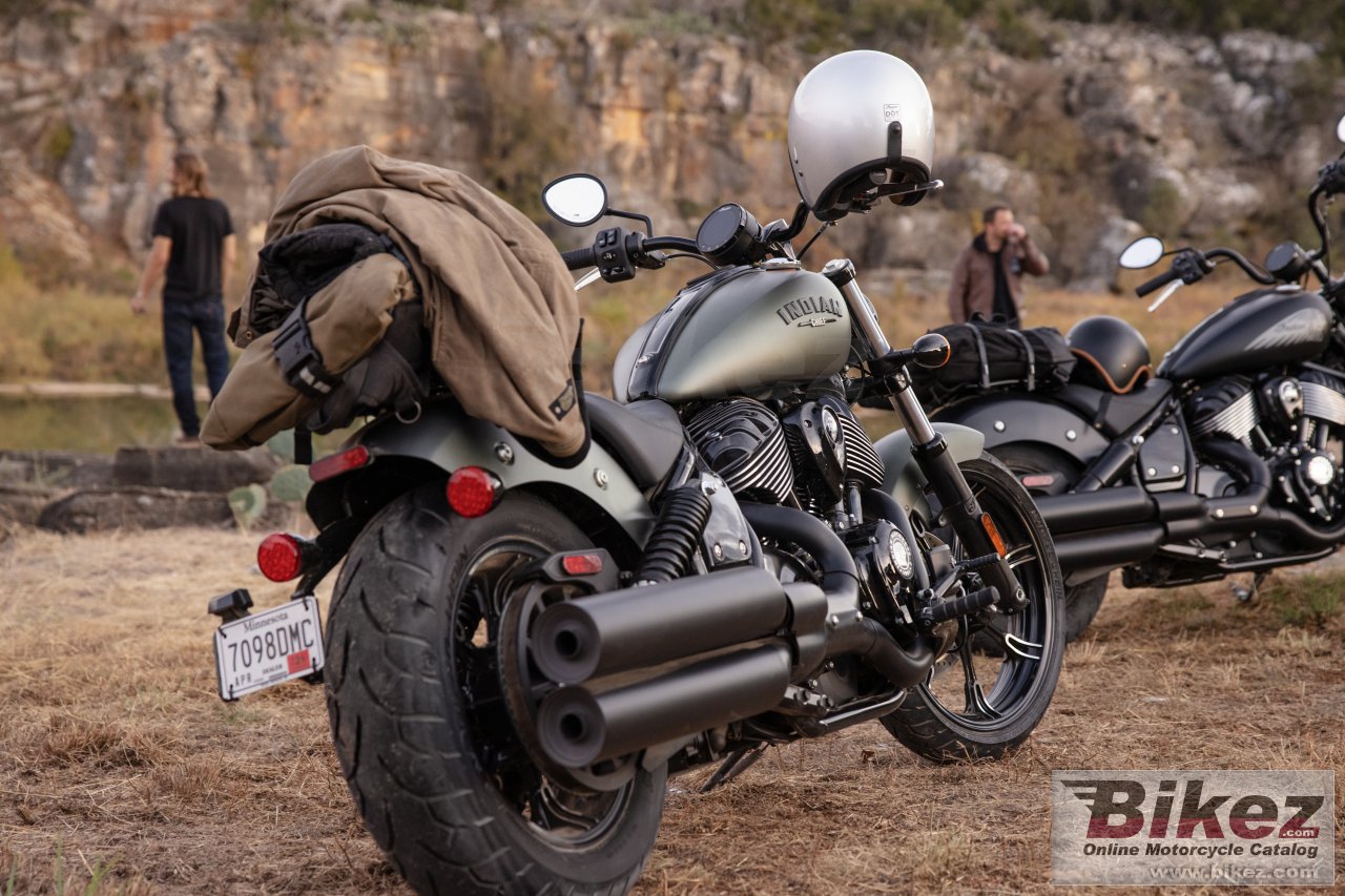 Indian Chief Dark Horse