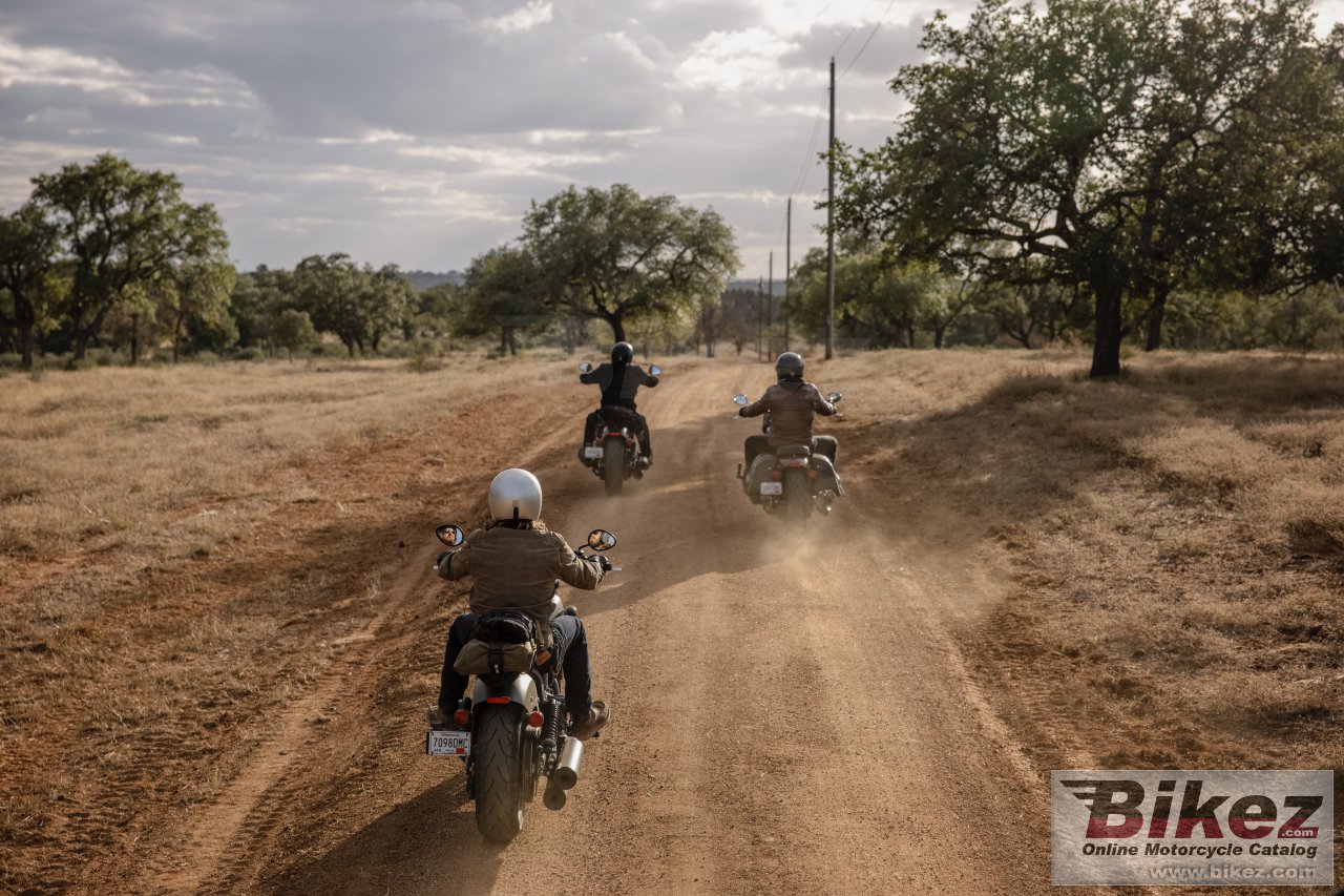 Indian Chief Dark Horse