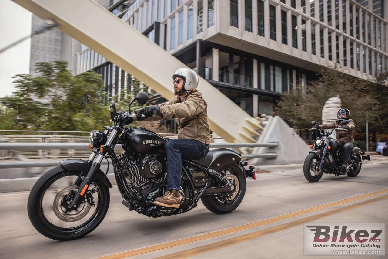 Indian Chief Dark Horse