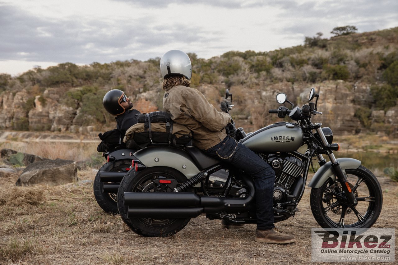 Indian Chief Dark Horse