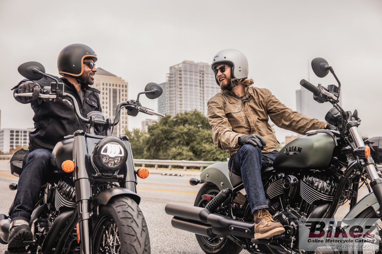 Indian Chief Dark Horse