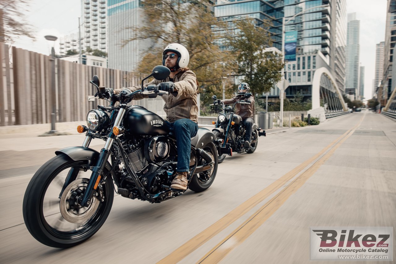 Indian Chief Dark Horse