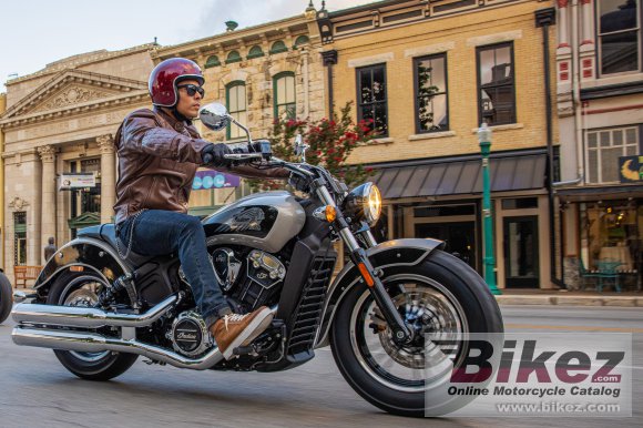 2022 Indian Scout 