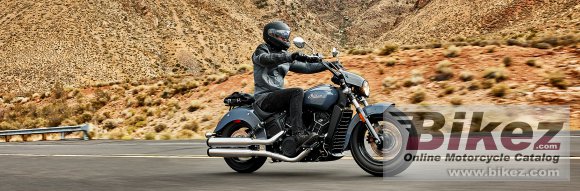 2024 Indian Scout Sixty