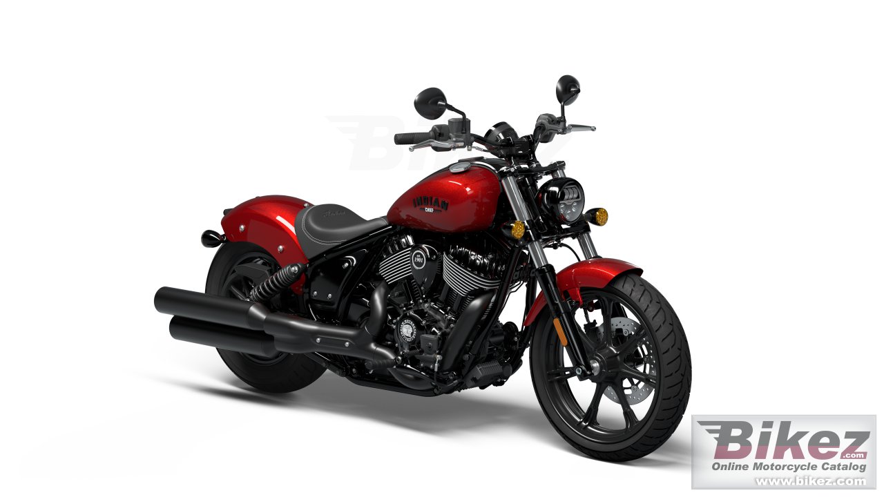 Indian Chief Dark Horse