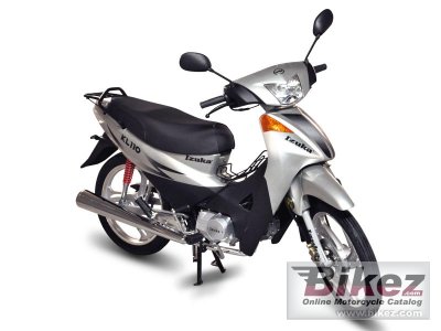 2013 Izuka KL 110