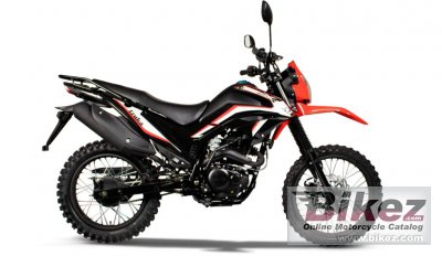 2025 Izuka X-Trial 200