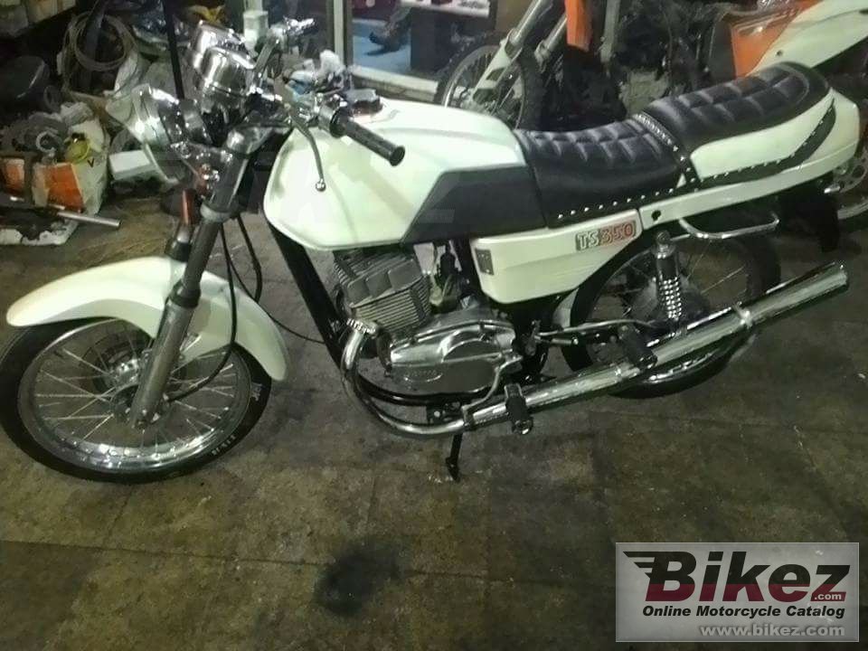 Jawa 350 TS