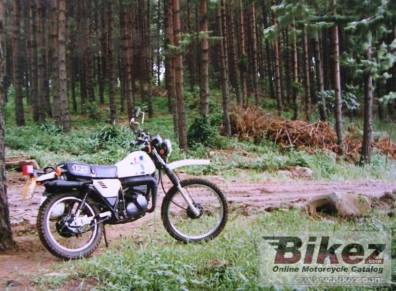 Kawasaki KE 125