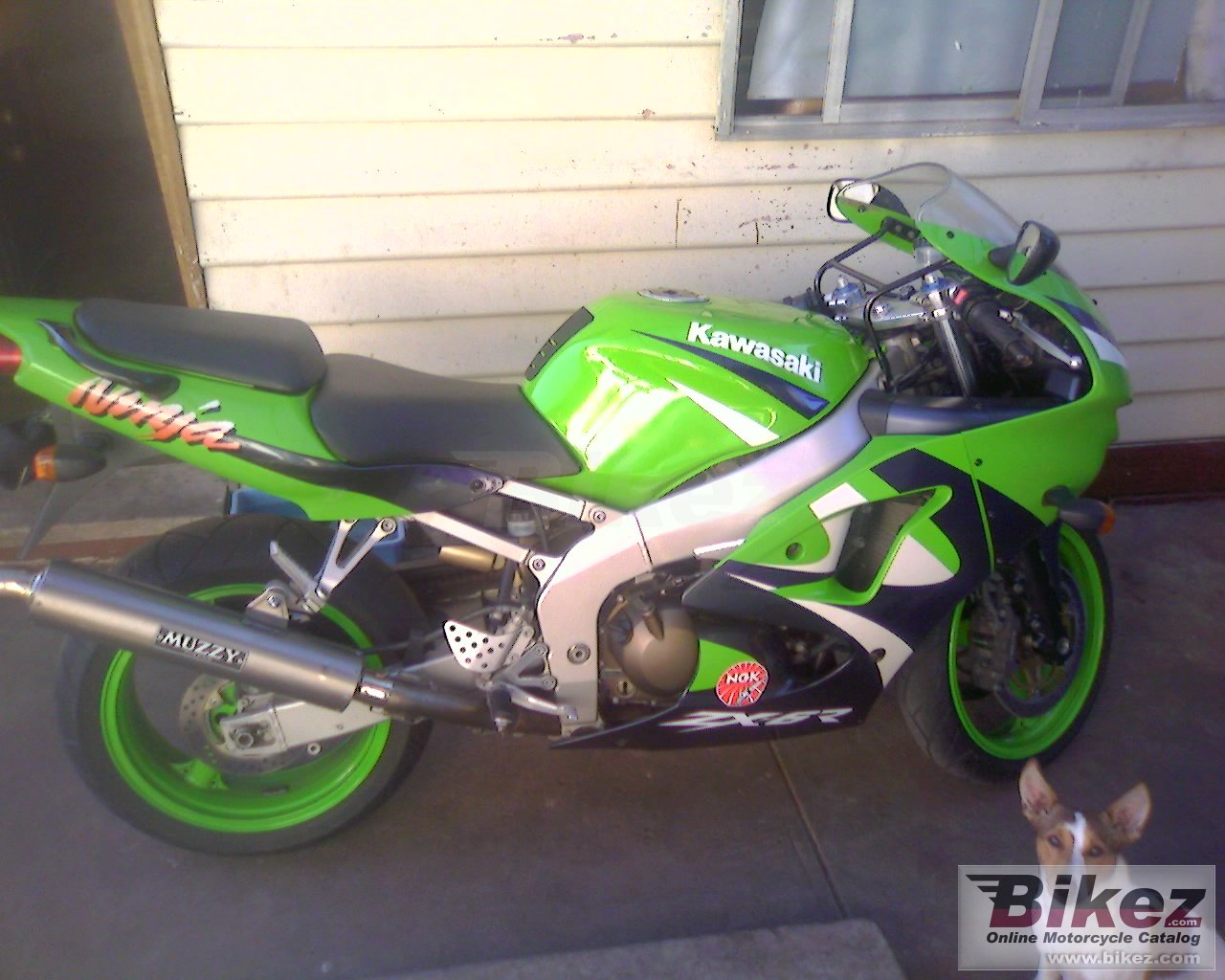 Kawasaki ZX-6R Ninja