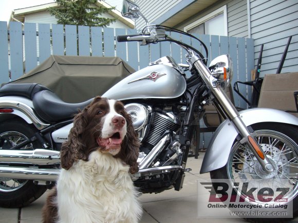 2006 Kawasaki Vulcan 900 Classic