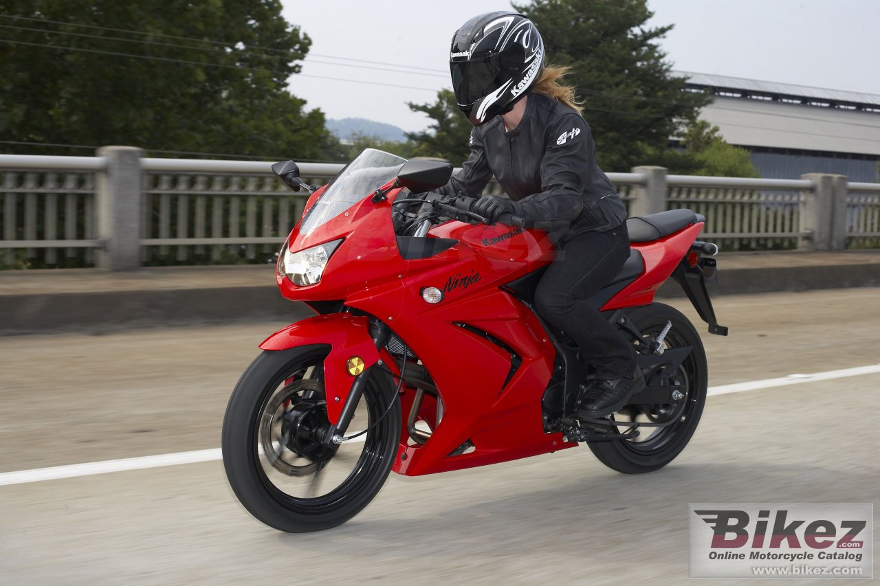 Kawasaki Ninja 250R