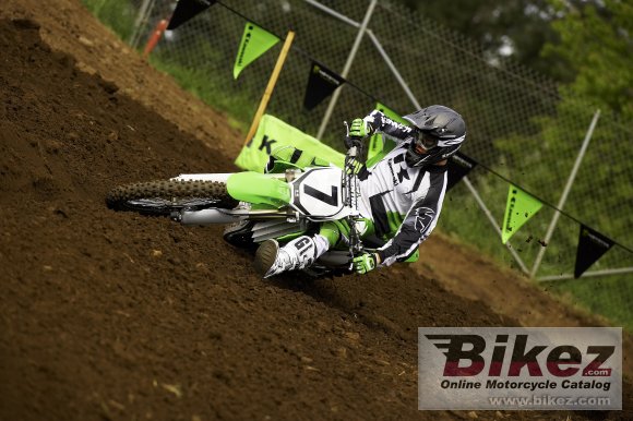 2008 Kawasaki KX450F