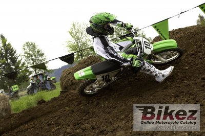 2008 Kawasaki KX100