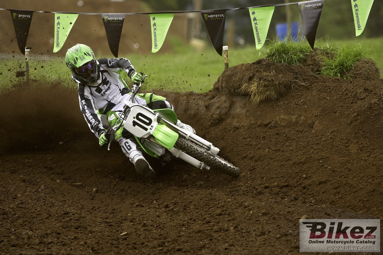 Kawasaki KX100