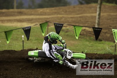 2008 Kawasaki KX100