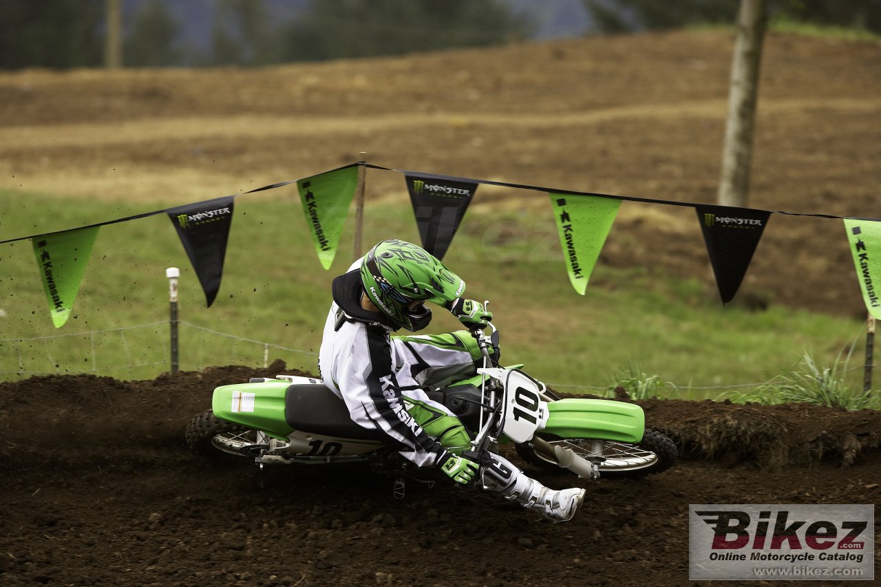 Kawasaki KX100