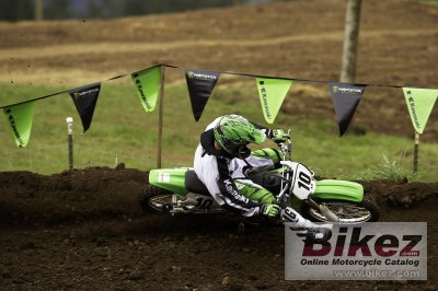 2008 Kawasaki KX100