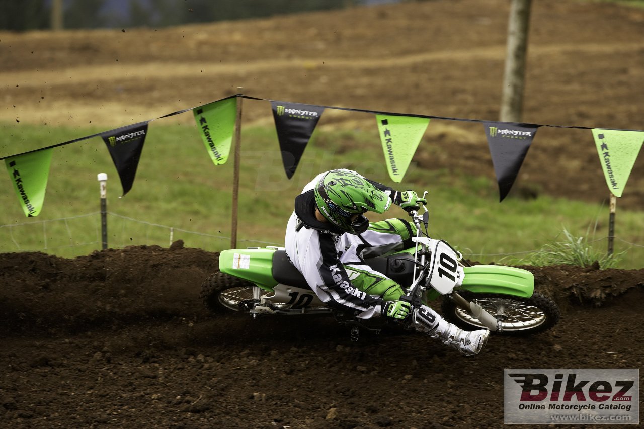 Kawasaki KX100