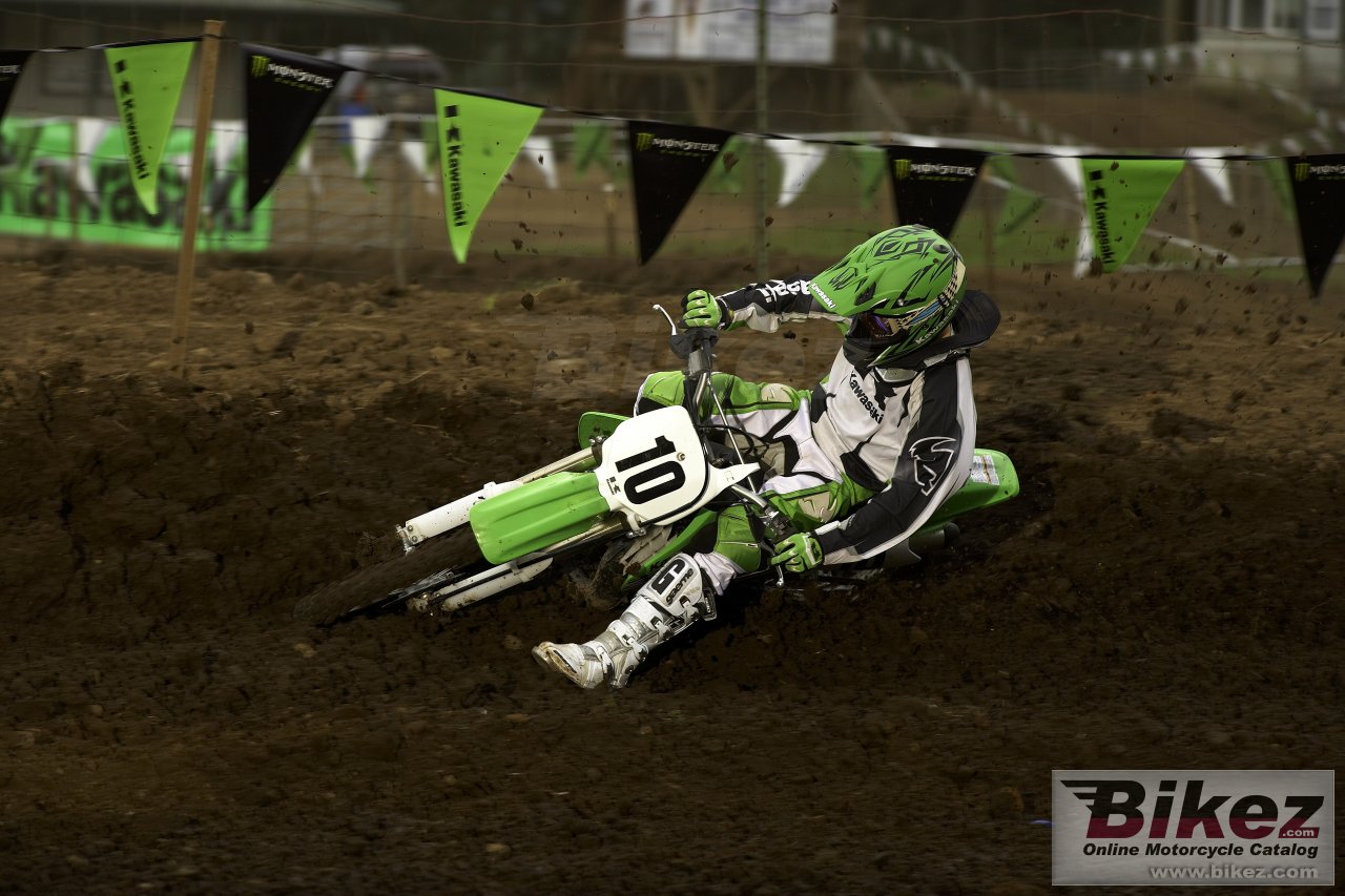 Kawasaki KX100