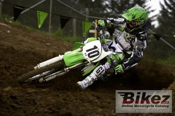 2008 Kawasaki KX100