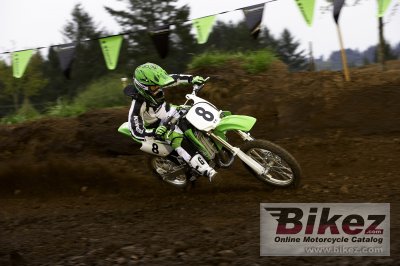 2008 Kawasaki KX85