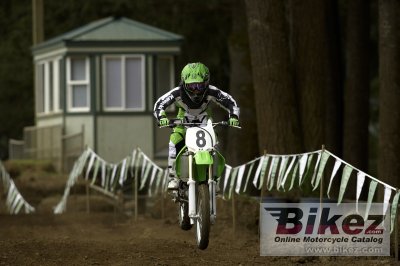 2008 Kawasaki KX85