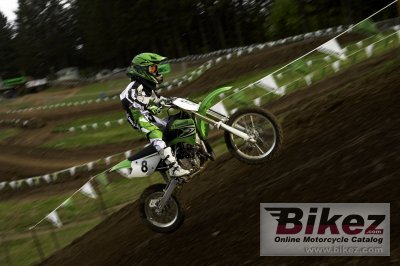 2008 Kawasaki KX85