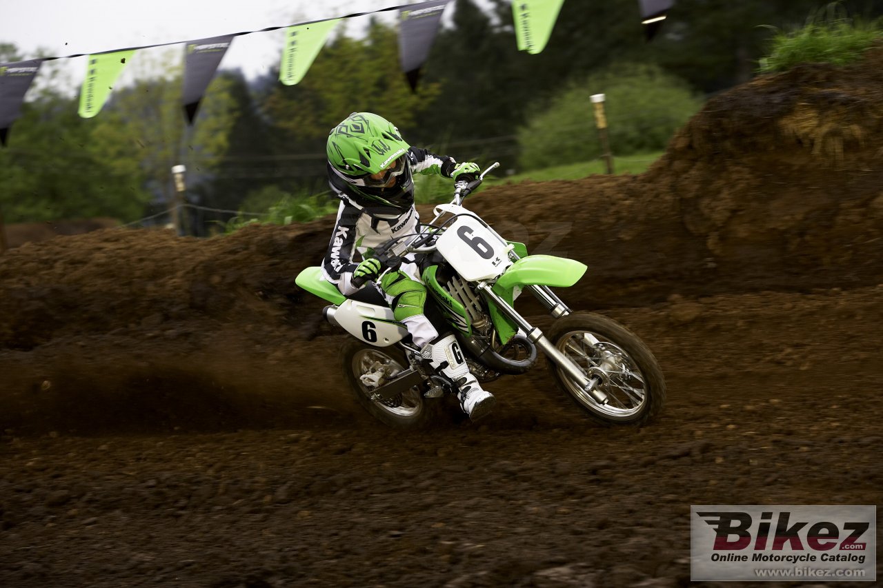 Kawasaki KX65