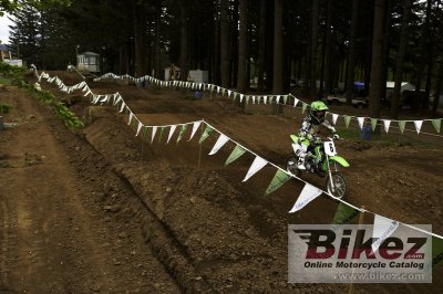 2008 Kawasaki KX65