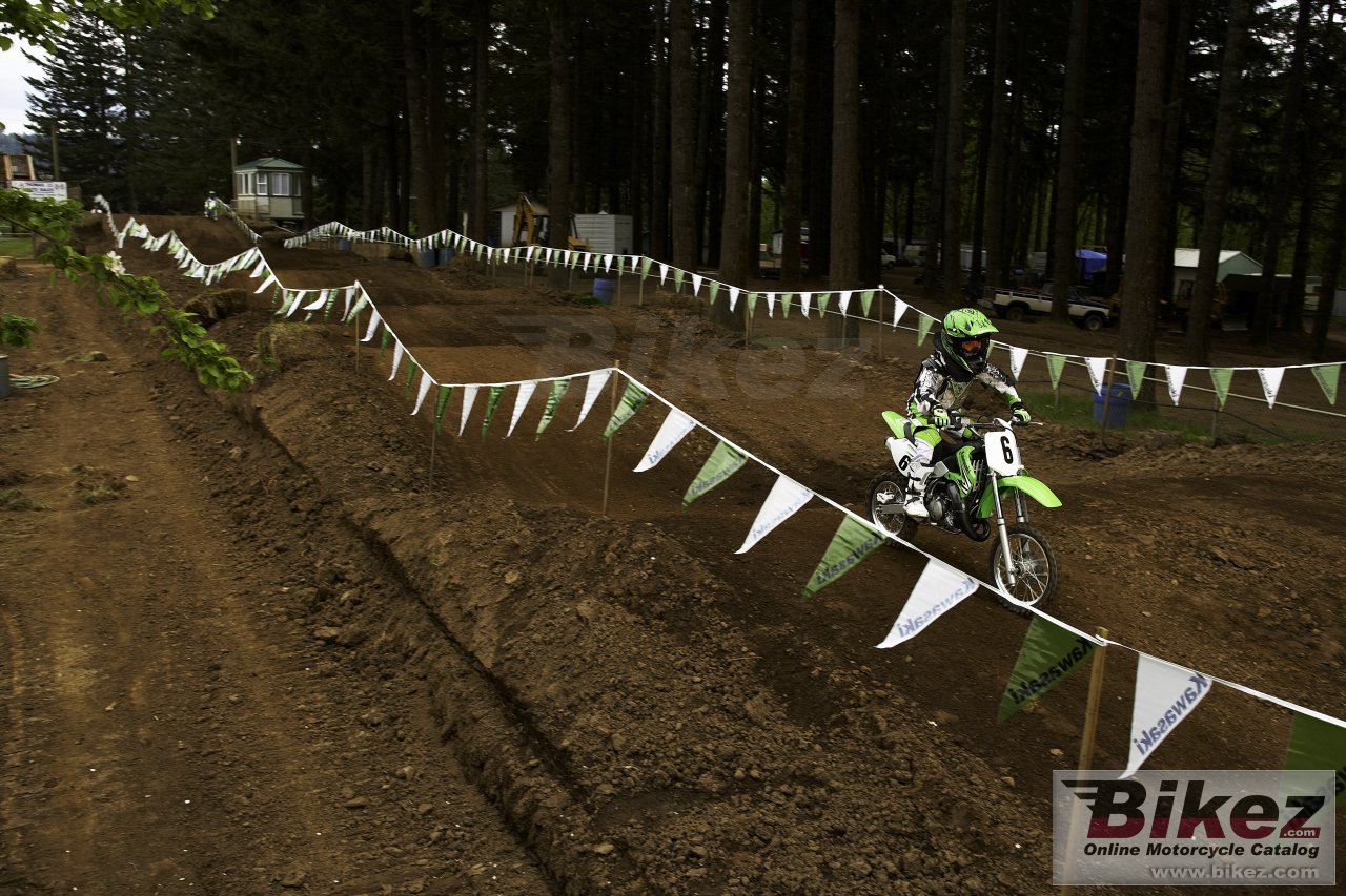 Kawasaki KX65
