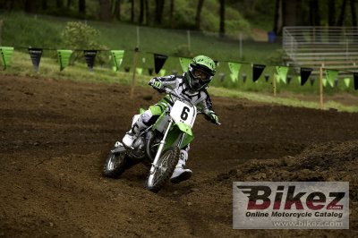 2008 Kawasaki KX65