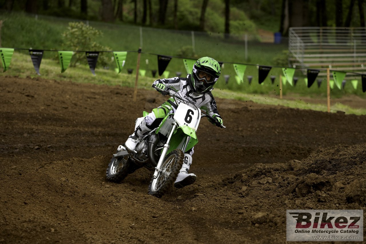 Kawasaki KX65