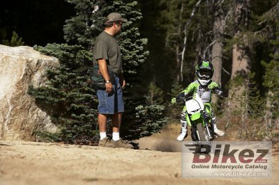 2008 Kawasaki KLX110