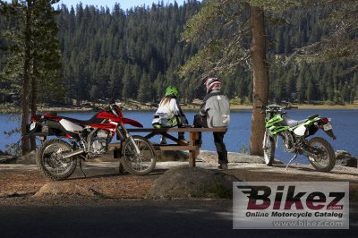 2009 Kawasaki KLX 250 S