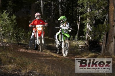 2009 Kawasaki KLX 250 S