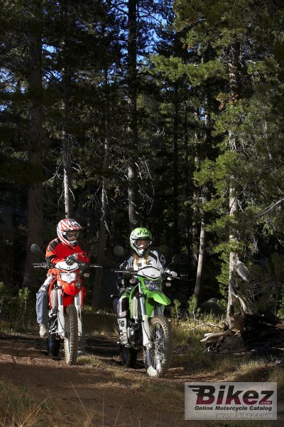 2009 Kawasaki KLX 250 S