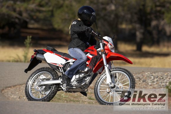 2009 Kawasaki KLX 250 S