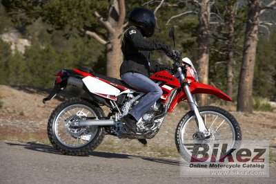 2009 Kawasaki KLX 250 S