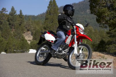 2009 Kawasaki KLX 250 S