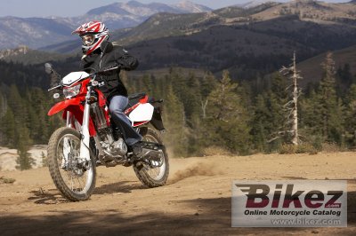 2009 Kawasaki KLX 250 S