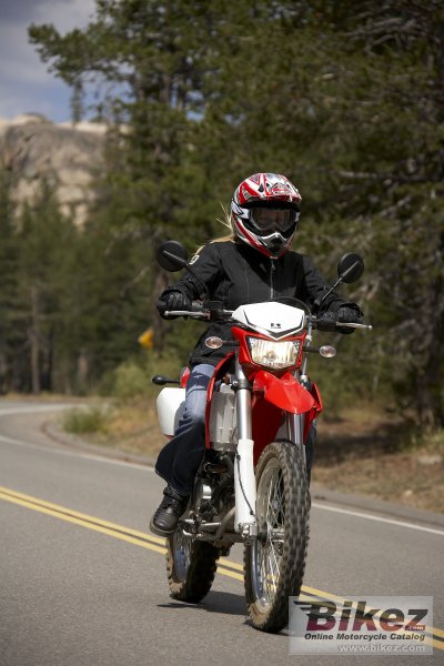 2009 Kawasaki KLX 250 S