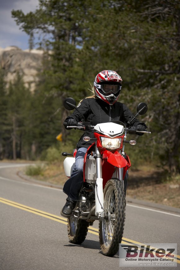 2009 Kawasaki KLX 250 S