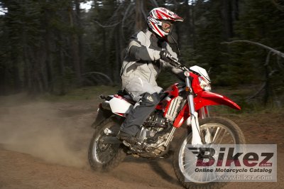 2009 Kawasaki KLX 250 S