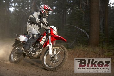 2009 Kawasaki KLX 250 S