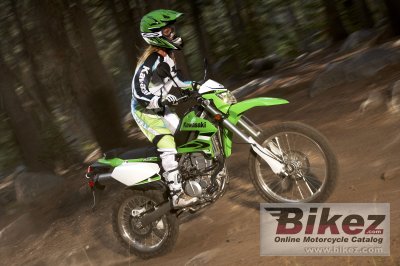2009 Kawasaki KLX 250 S