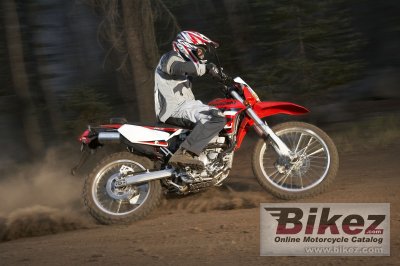2009 Kawasaki KLX 250 S