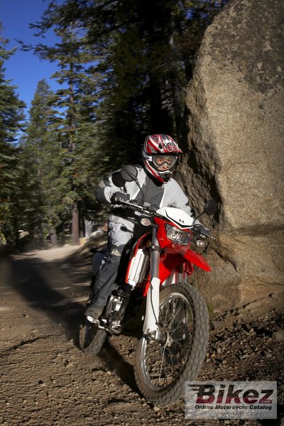 2009 Kawasaki KLX 250 S